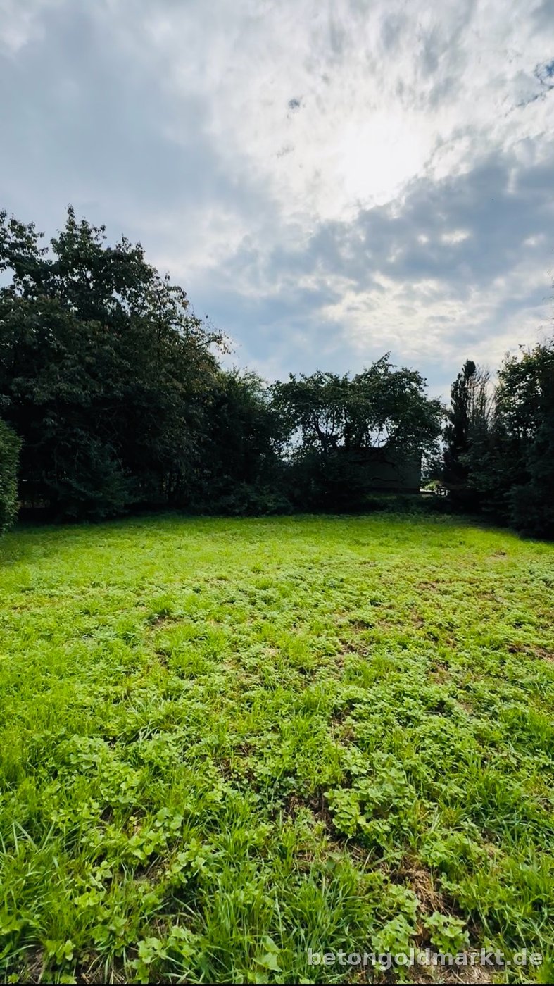 Zweifamilienhaus Einbeck – Foto 7